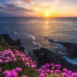 A beautiful sunset over the ocean with wildflowers